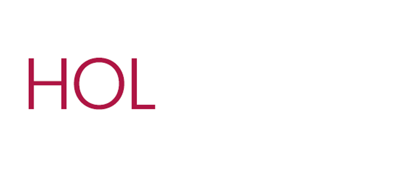 Onur Çetin, Holthink Interactive - Founder / Agency President